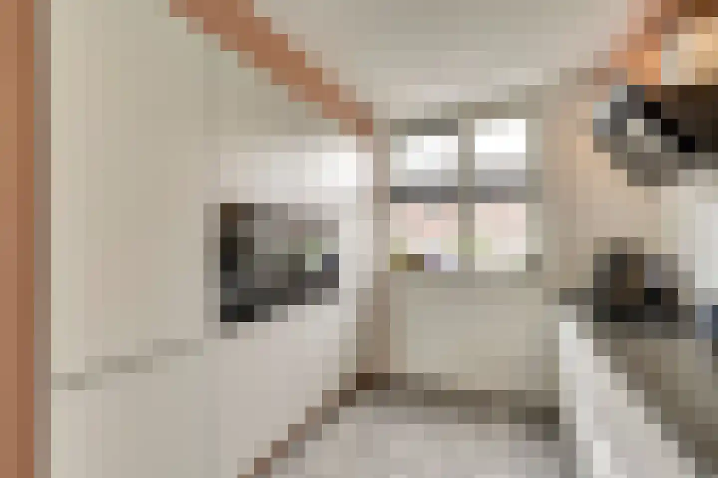 Raai 87 Hank thumbnail 21