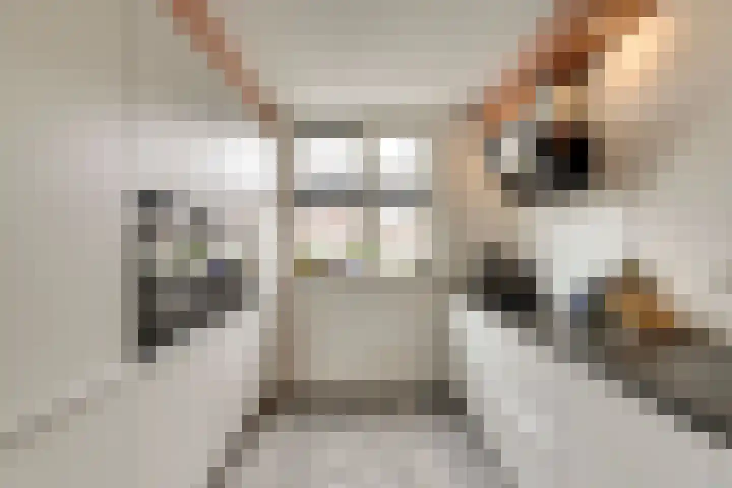 Raai 87 Hank thumbnail 22