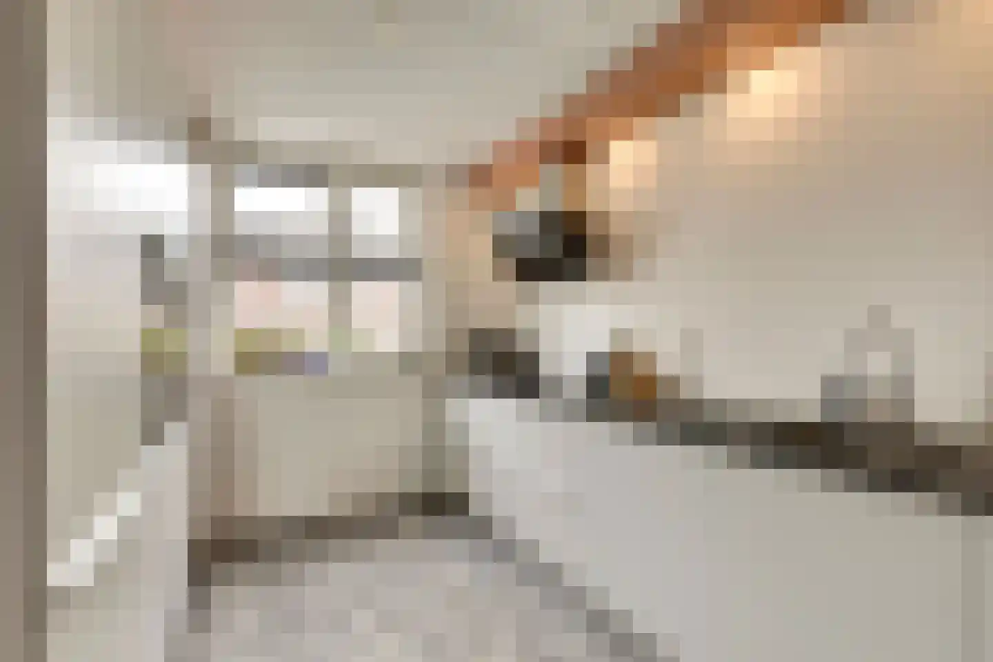 Raai 87 Hank thumbnail 23