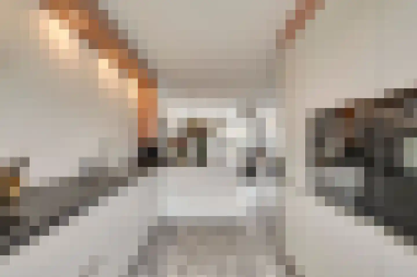 Raai 87 Hank thumbnail 24