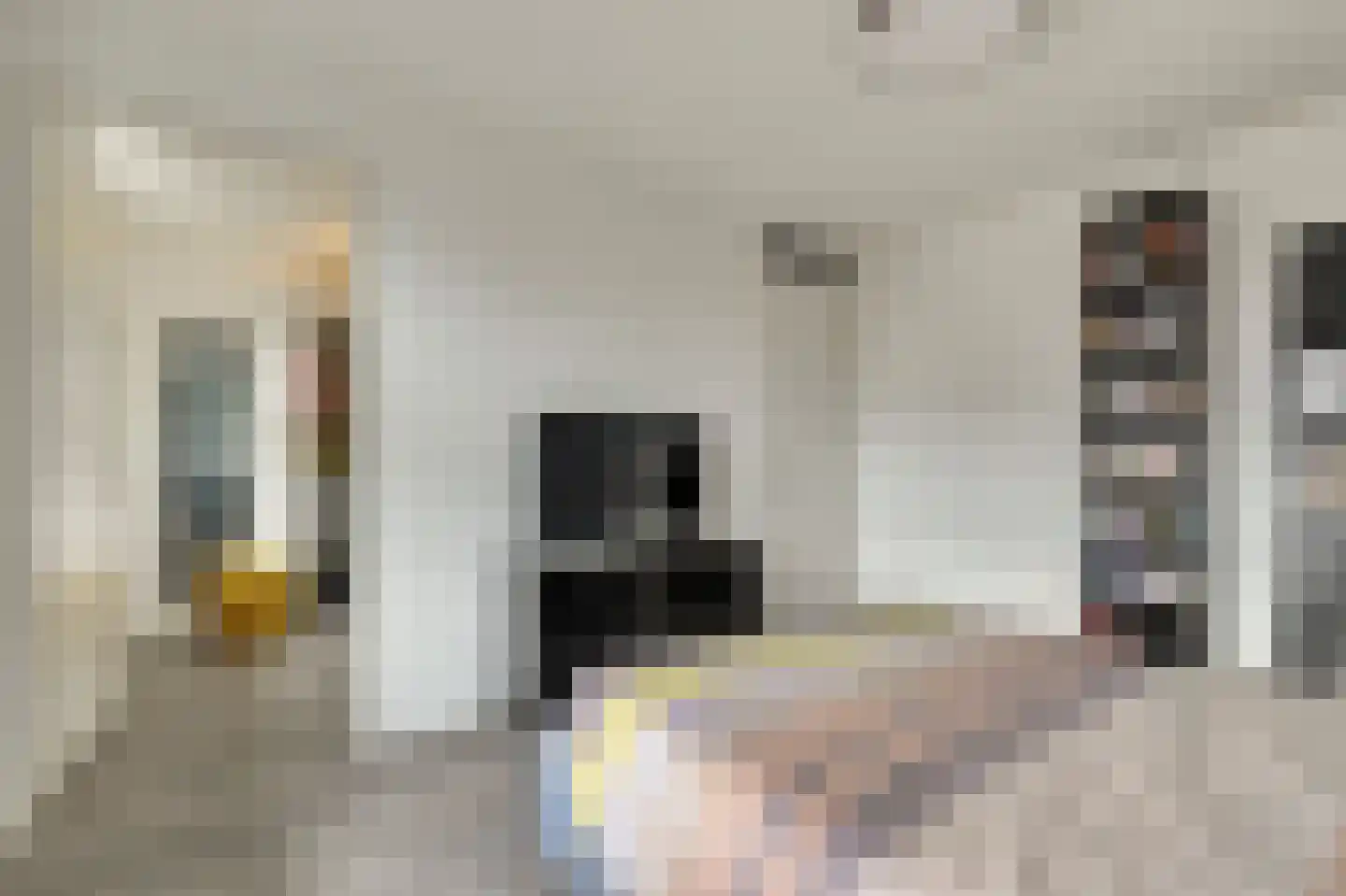 Raai 87 Hank thumbnail 30