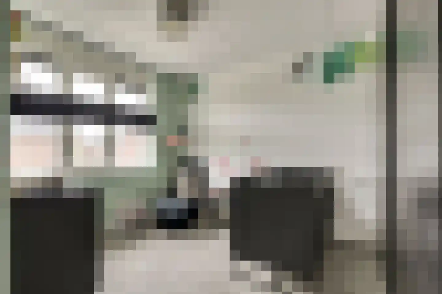 Raai 87 Hank thumbnail 33