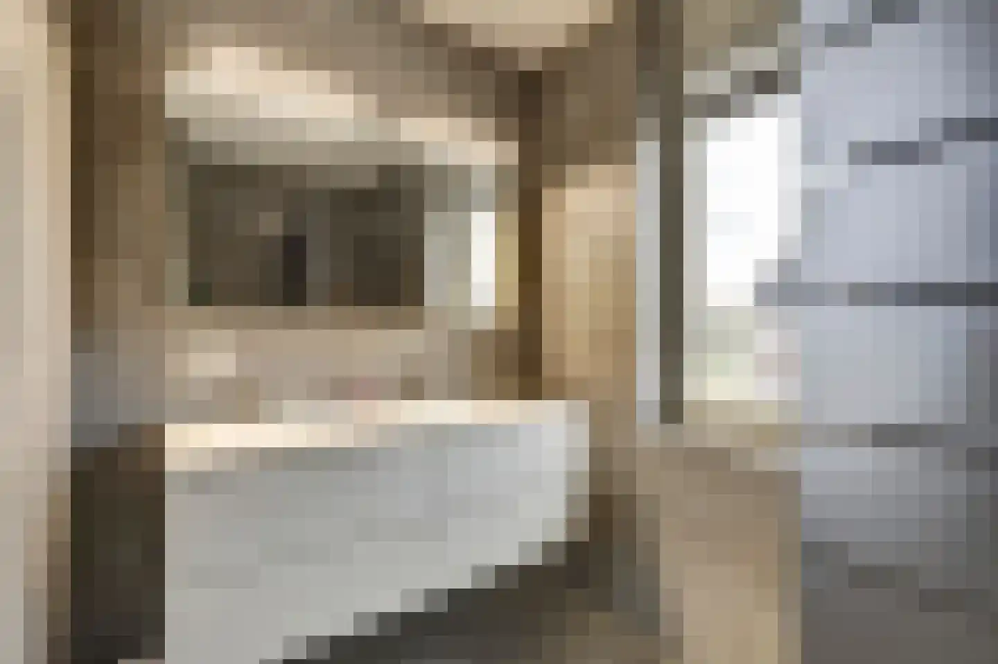 Raai 87 Hank thumbnail 36