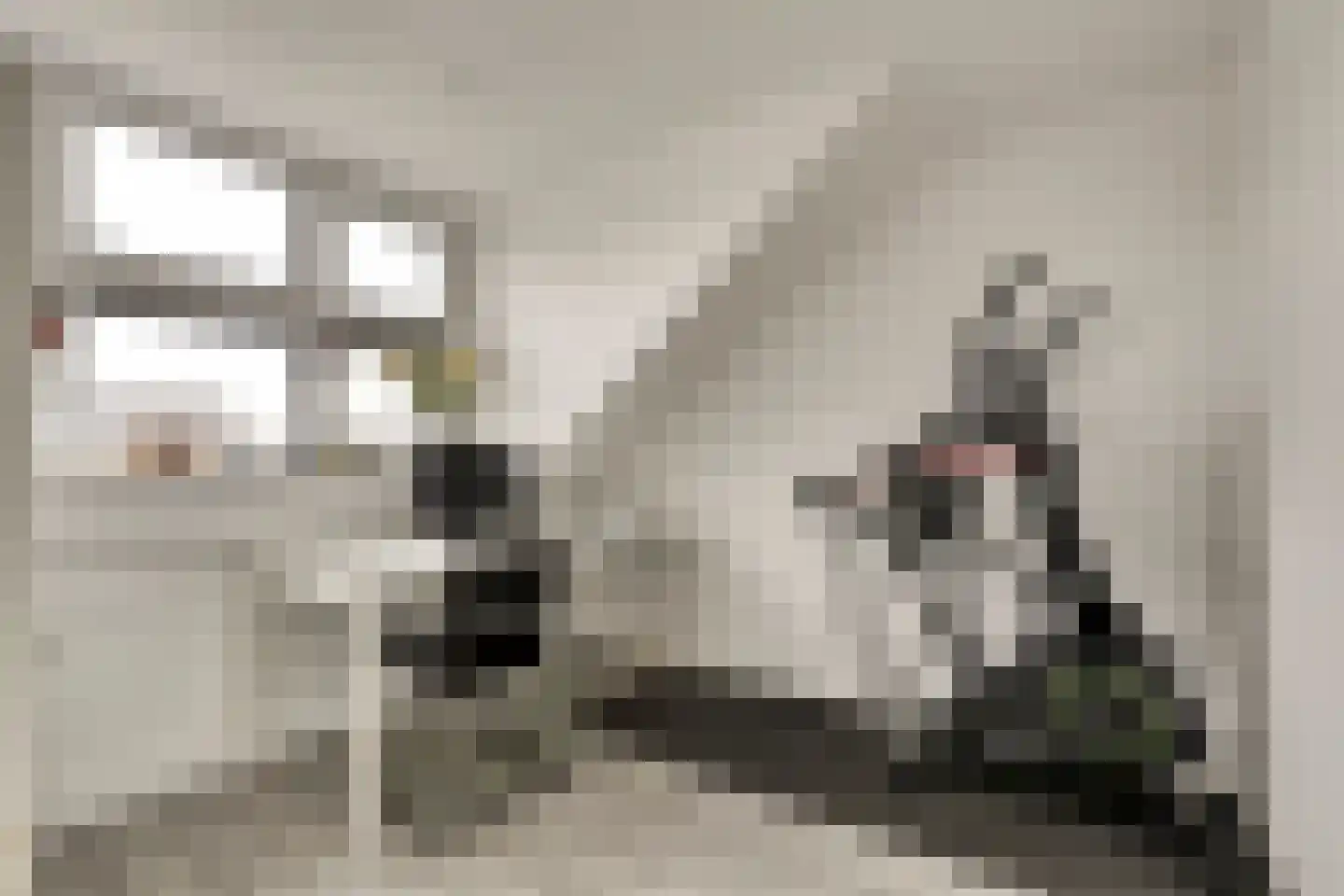 Raai 87 Hank thumbnail 44
