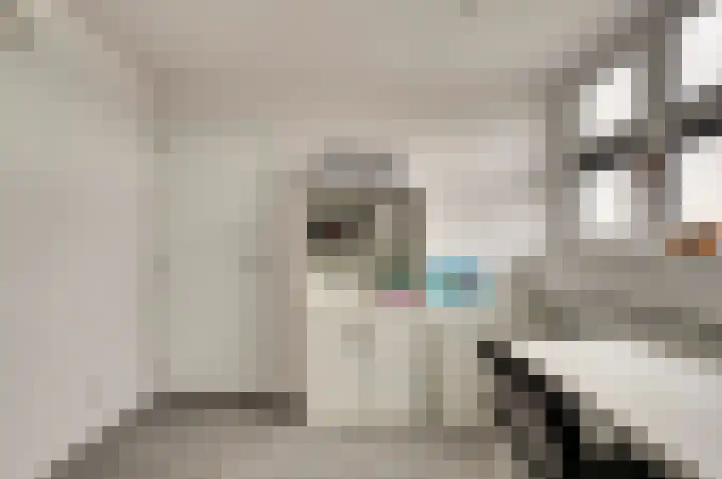Raai 87 Hank thumbnail 45