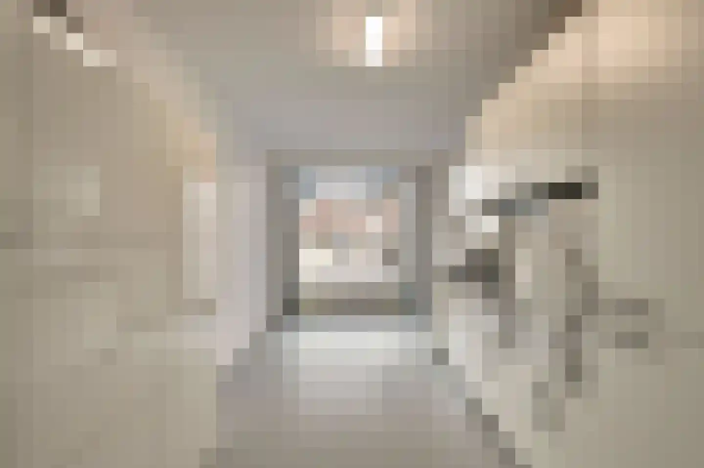 Raai 87 Hank thumbnail 5
