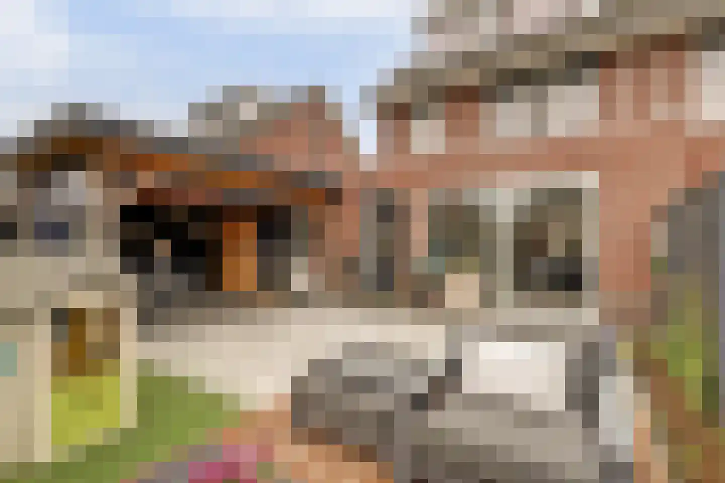 Raai 87 Hank thumbnail 50
