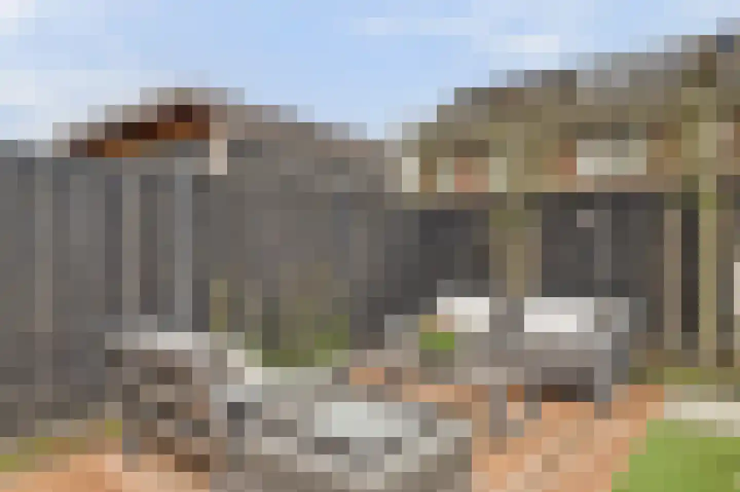 Raai 87 Hank thumbnail 51