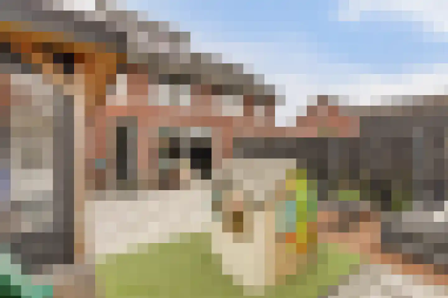 Raai 87 Hank thumbnail 53