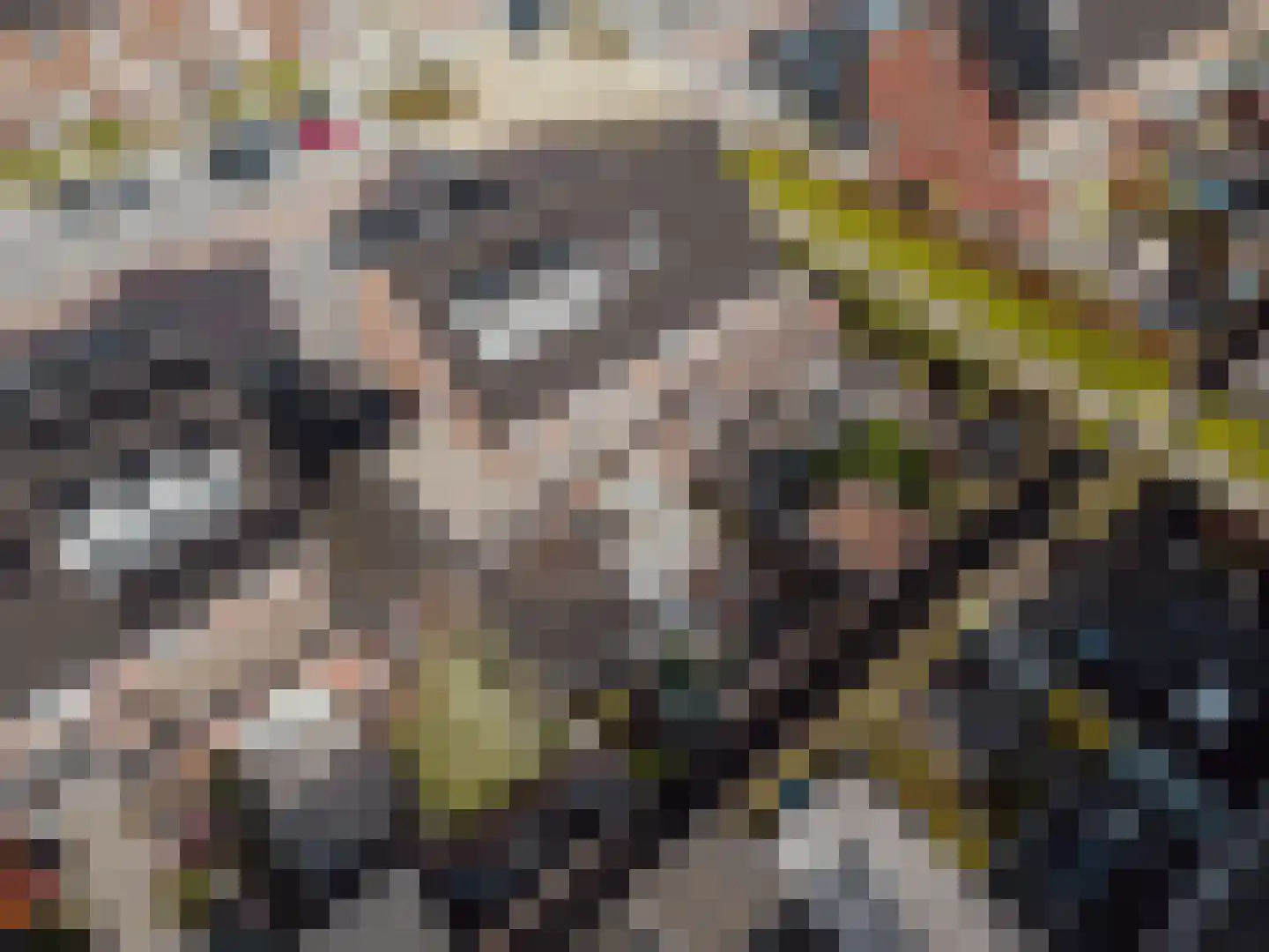 Raai 87 Hank thumbnail 57
