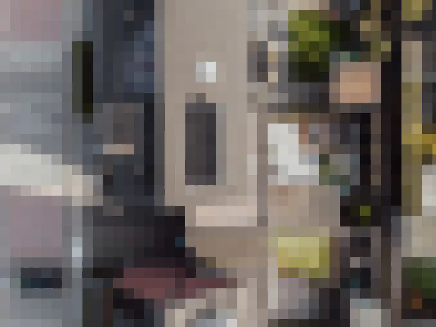Raai 87 Hank thumbnail 58