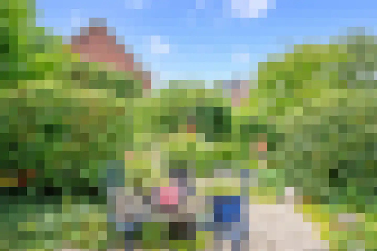 Raaigras 10 Haastrecht thumbnail 29