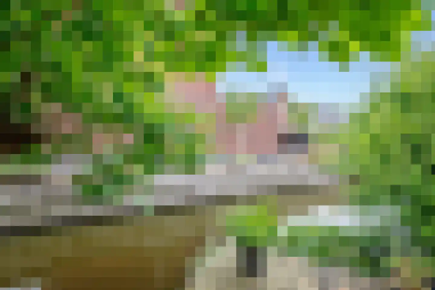 Raaigras 10 Haastrecht thumbnail 30
