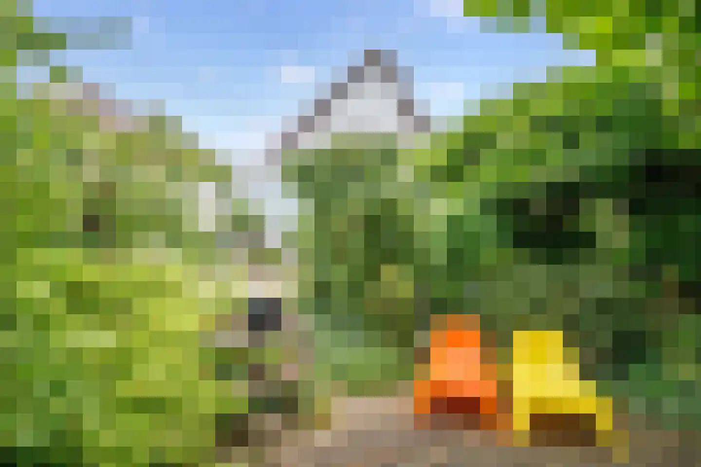 Raaigras 10 Haastrecht thumbnail 31