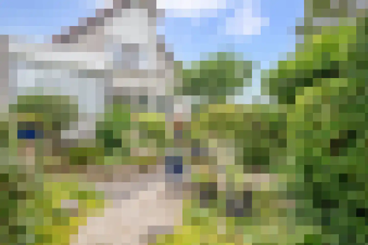Raaigras 10 Haastrecht thumbnail 32