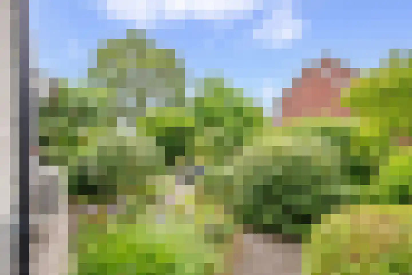 Raaigras 10 Haastrecht thumbnail 34