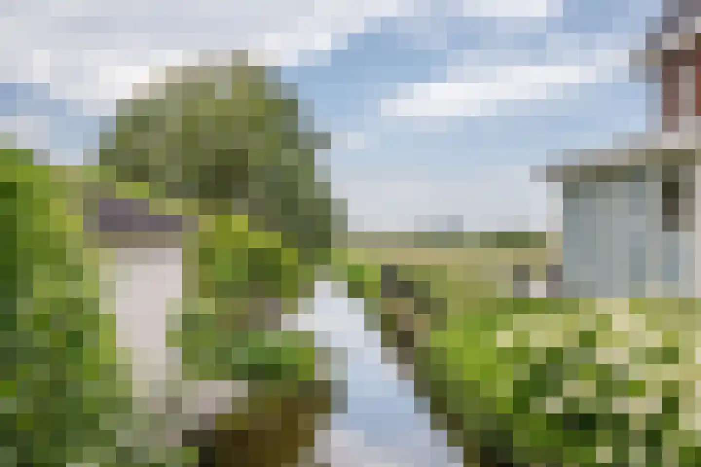 Raaigras 10 Haastrecht thumbnail 35