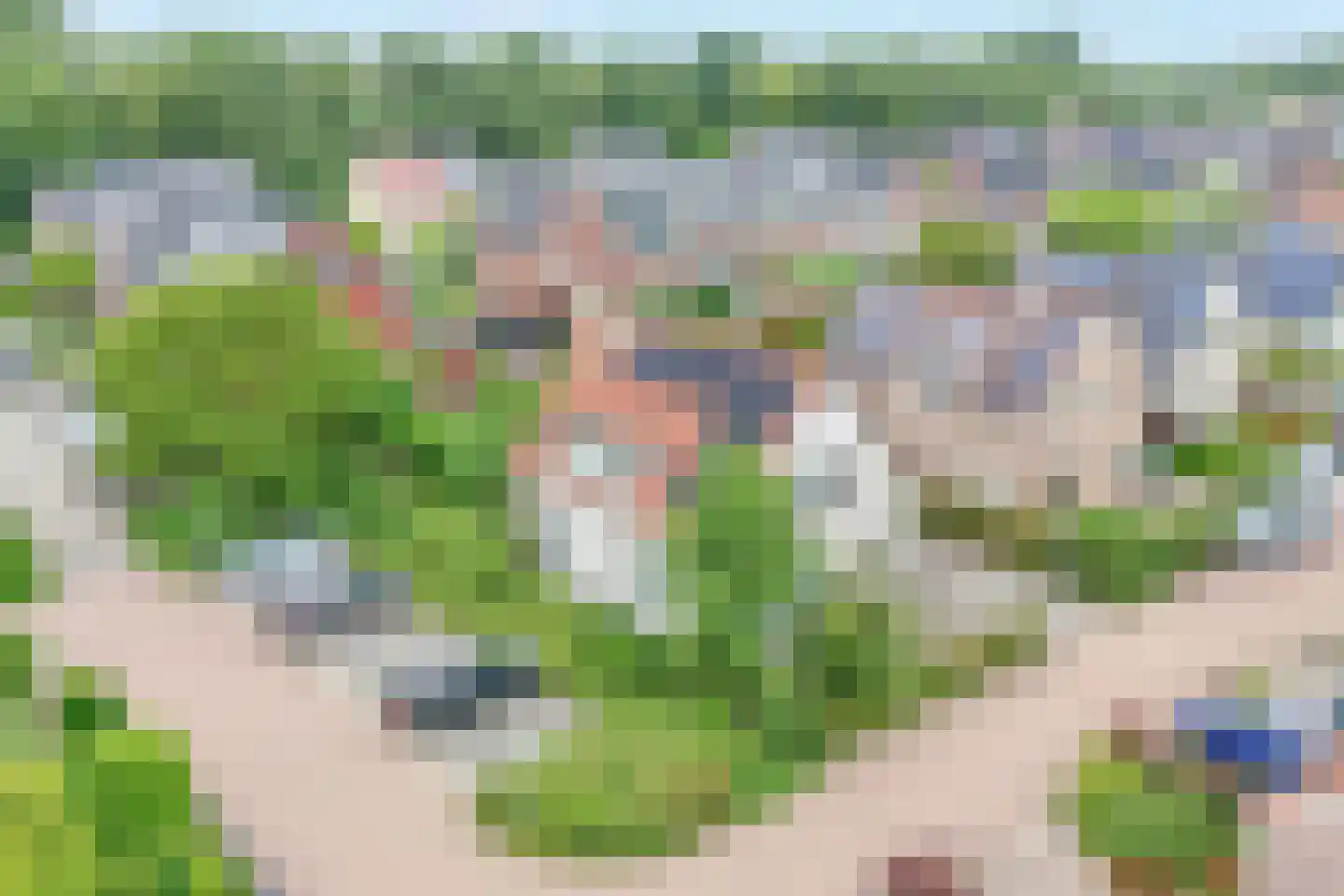 Raaigras 10 Haastrecht thumbnail 36