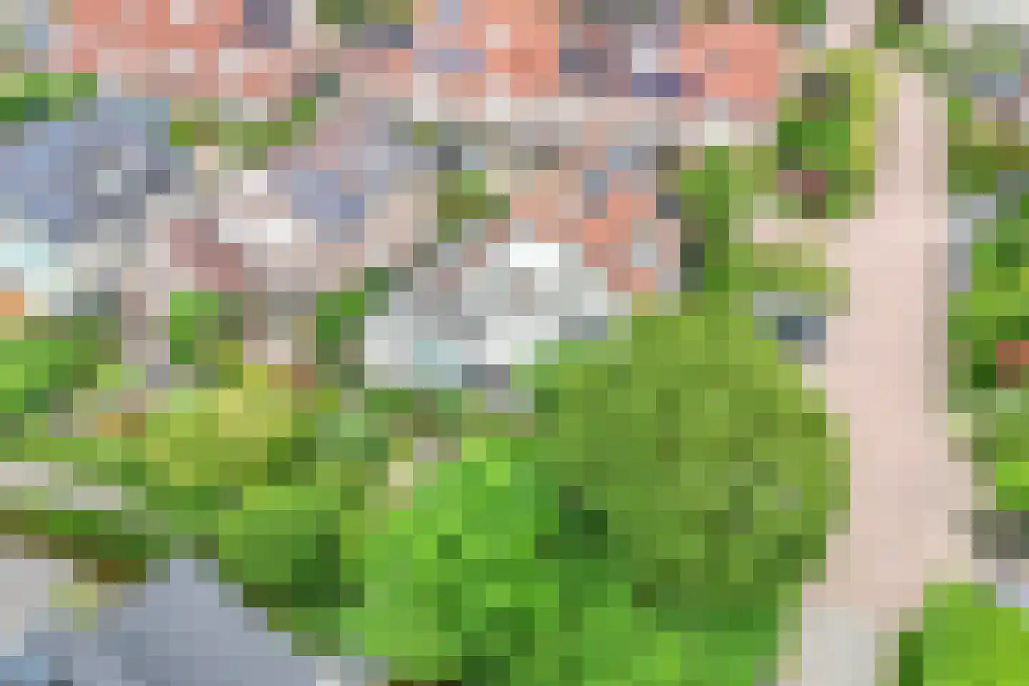 Raaigras 10 Haastrecht thumbnail 37