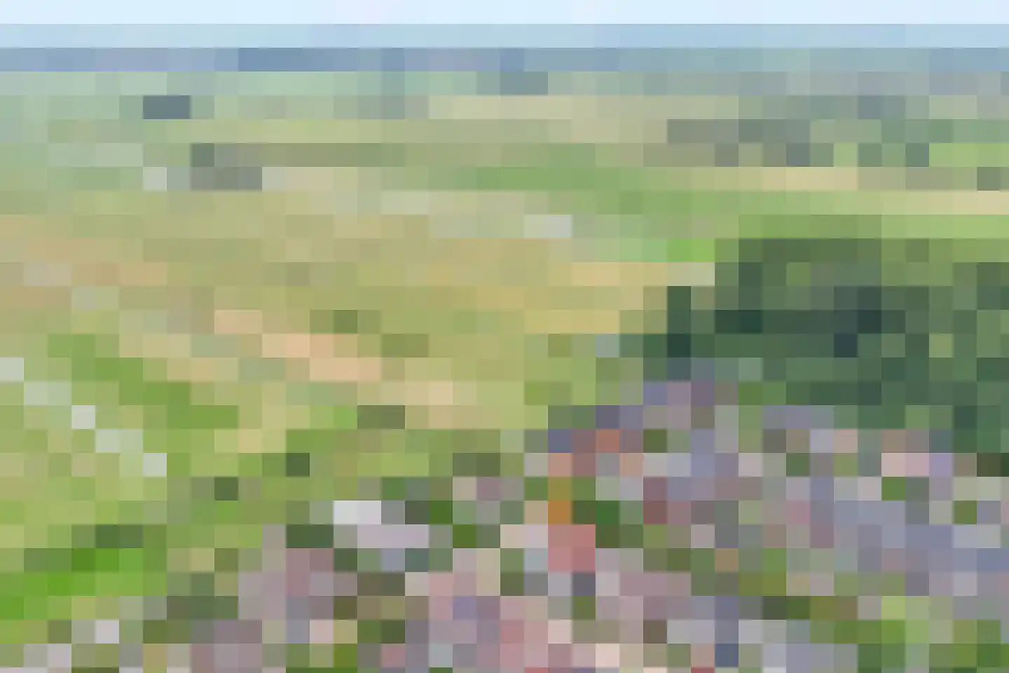 Raaigras 10 Haastrecht thumbnail 38