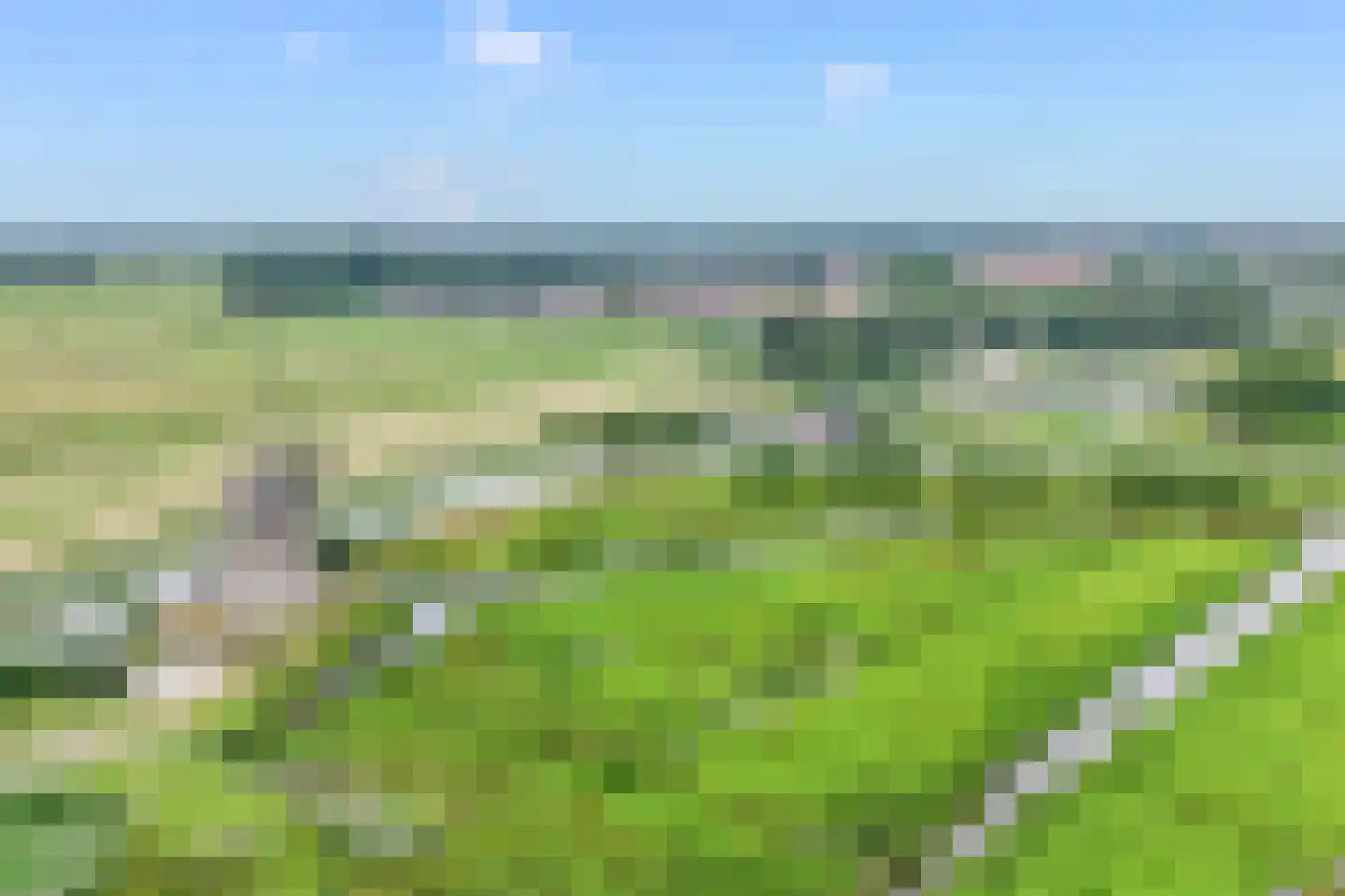 Raaigras 10 Haastrecht thumbnail 40