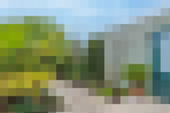 Raaigras 10 Spijkenisse thumbnail 11