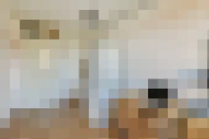 Raaigras 10 Spijkenisse thumbnail 14