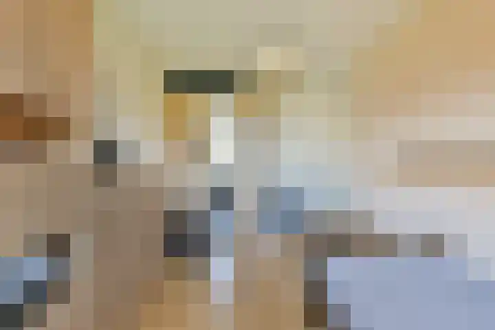 Raaigras 10 Spijkenisse thumbnail 16