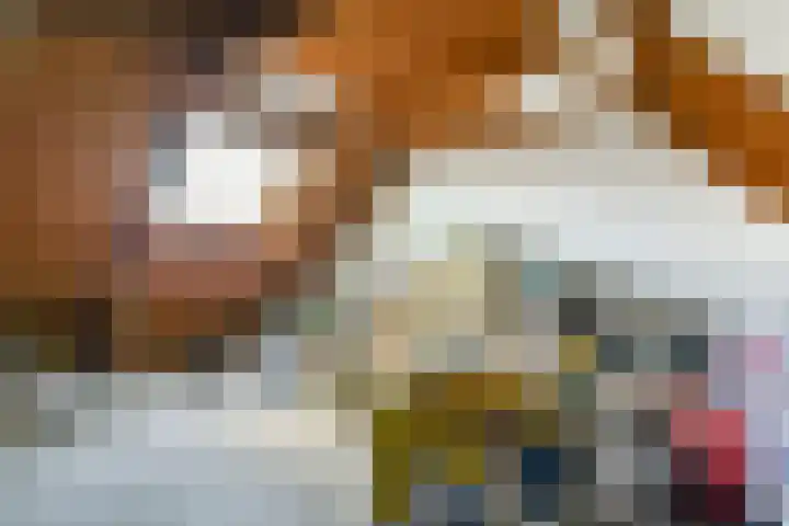 Raaigras 10 Spijkenisse thumbnail 19
