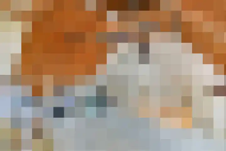 Raaigras 10 Spijkenisse thumbnail 20