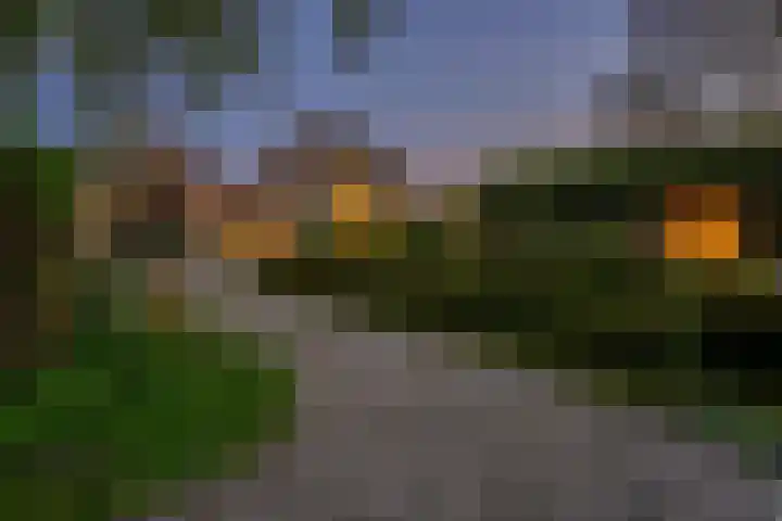 Raaigras 10 Spijkenisse thumbnail 21