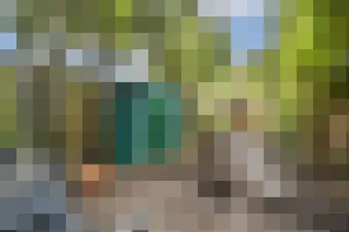 Raaigras 10 Spijkenisse thumbnail 21