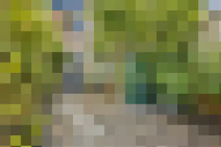 Raaigras 10 Spijkenisse thumbnail 22