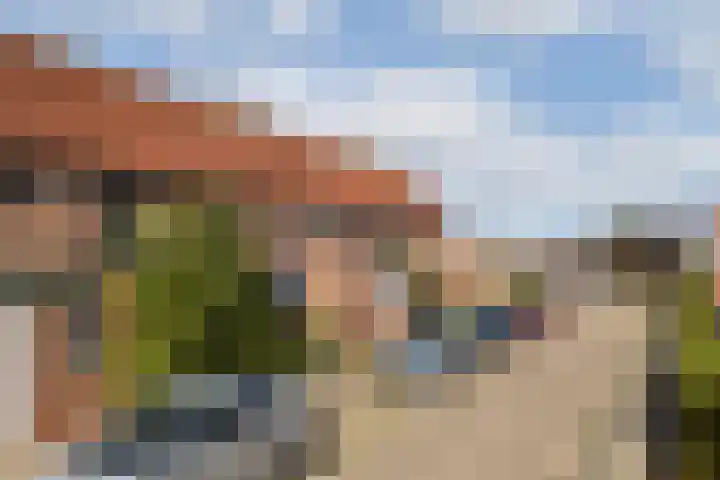 Raaigras 10 Spijkenisse thumbnail 23