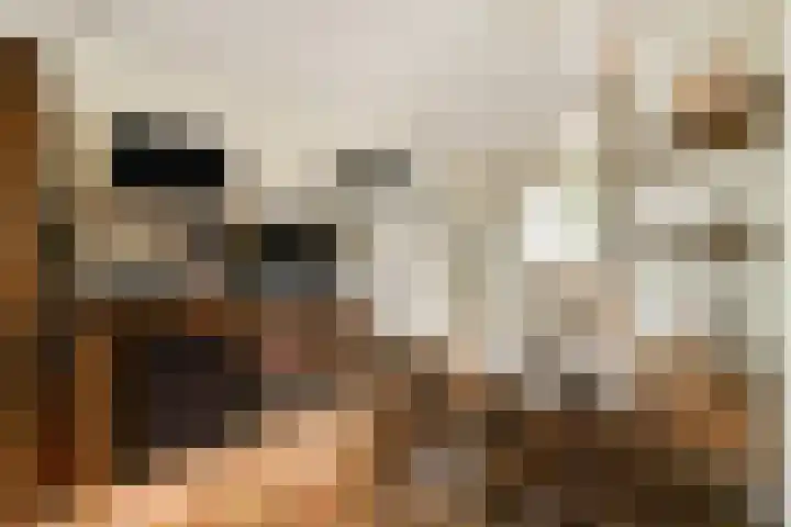 Raaigras 10 Spijkenisse thumbnail 9