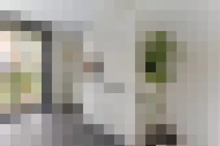 Raaigras 2 Zeewolde thumbnail 10