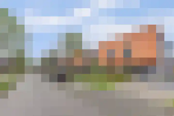 Raaigras 2 Zeewolde foto 2