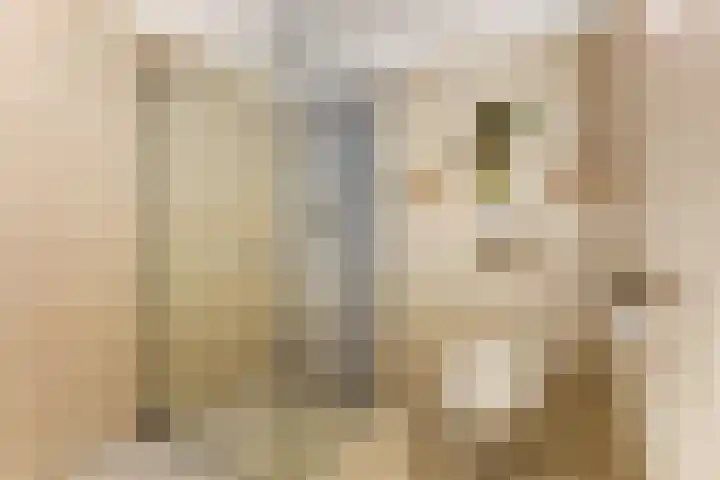 Raaigras 2 Zeewolde thumbnail 28