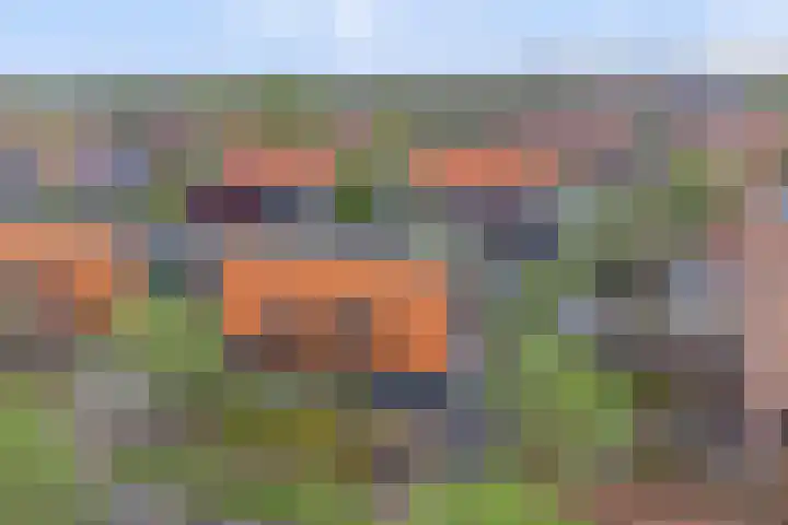 Raaigras 2 Zeewolde foto 3