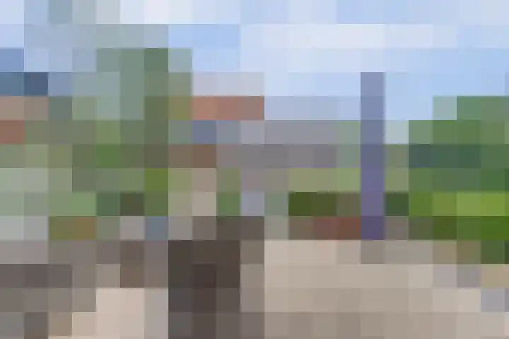 Raaigras 2 Zeewolde thumbnail 32