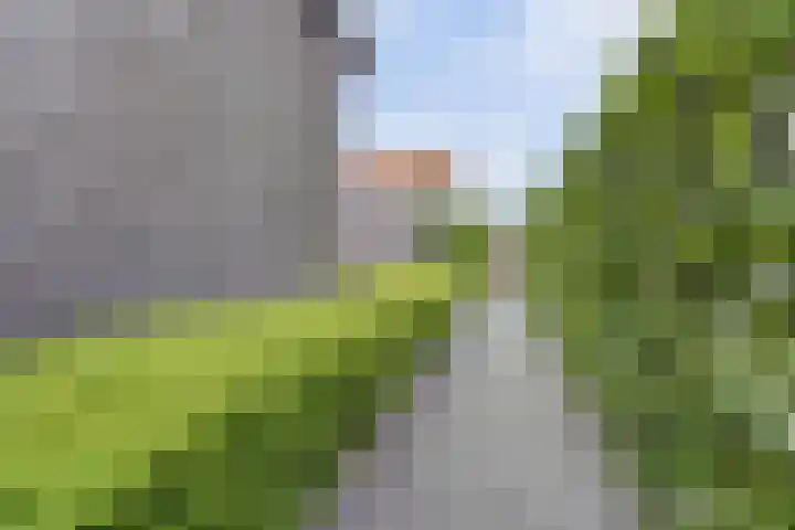 Raaigras 2 Zeewolde thumbnail 34