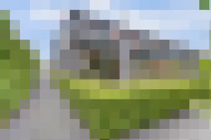 Raaigras 2 Zeewolde thumbnail 35