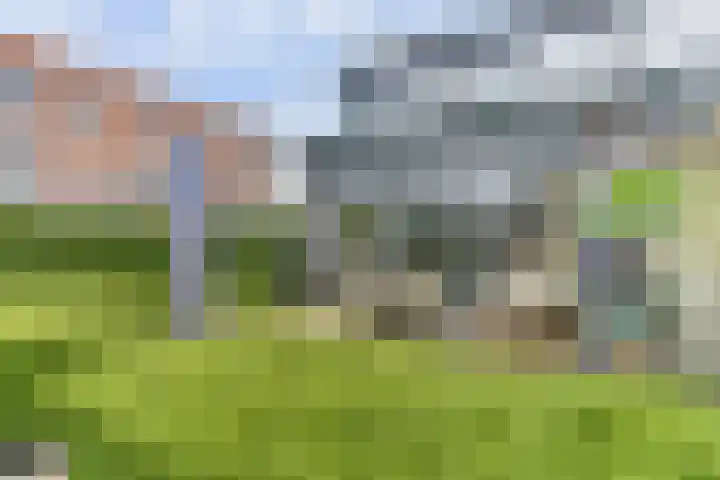 Raaigras 2 Zeewolde thumbnail 36