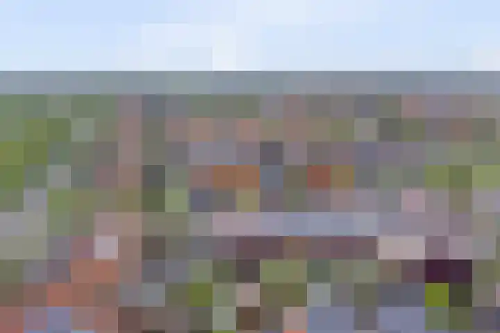 Raaigras 2 Zeewolde thumbnail 40