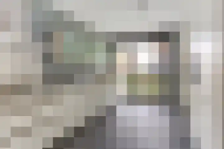 Raaigras 2 Zeewolde thumbnail 8