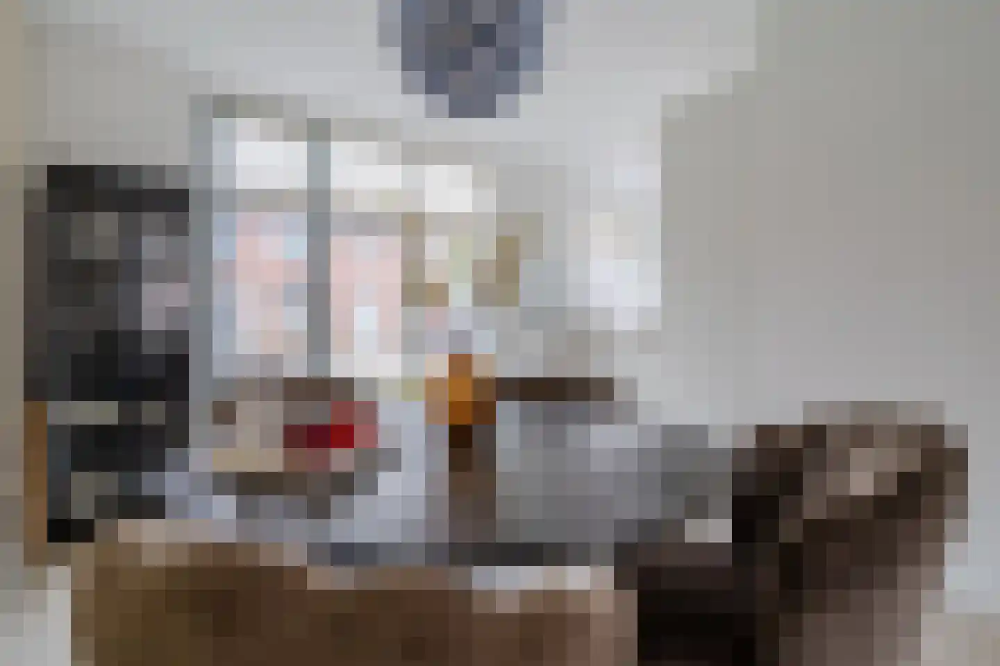 Raaigras 23 Assendelft thumbnail 12