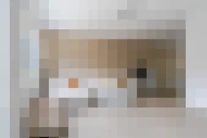 Raaigras 23 Assendelft thumbnail 12