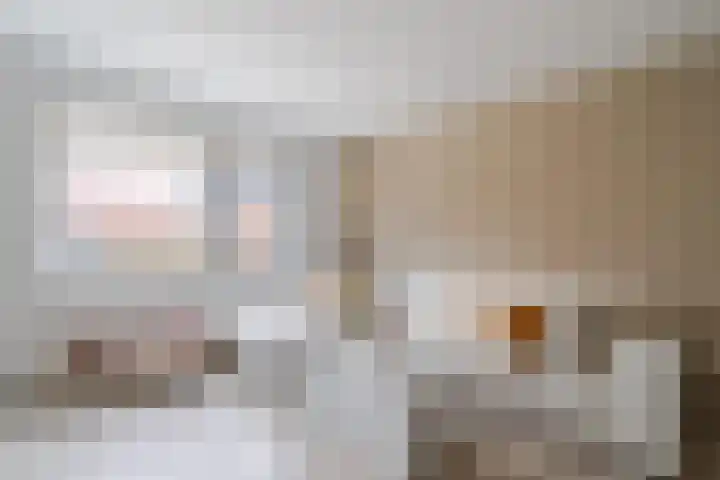 Raaigras 23 Assendelft thumbnail 13