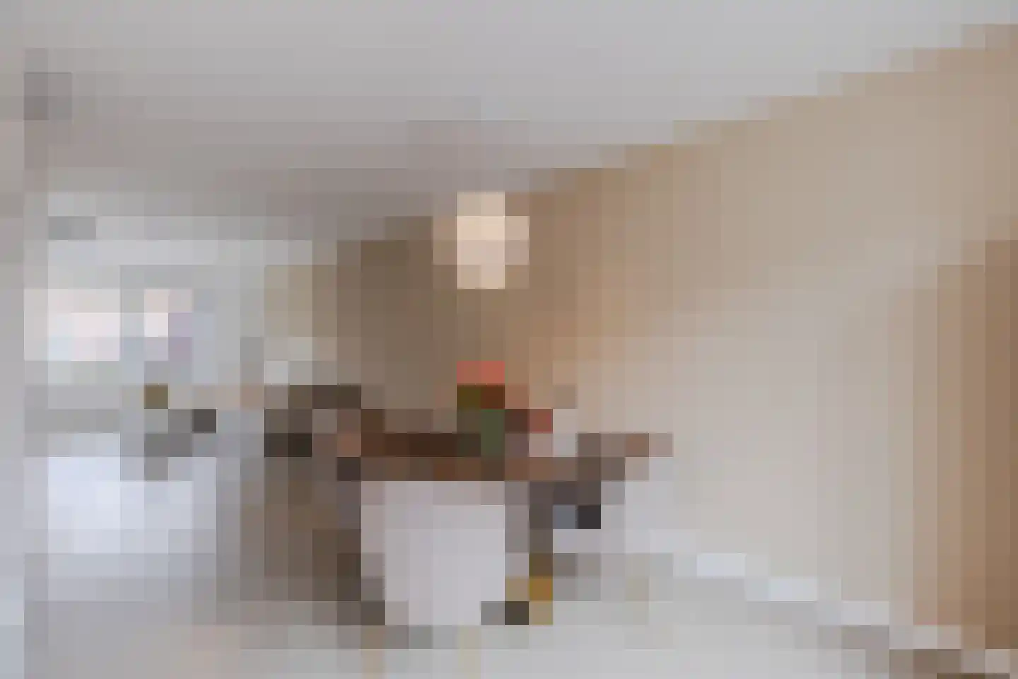Raaigras 23 Assendelft thumbnail 13