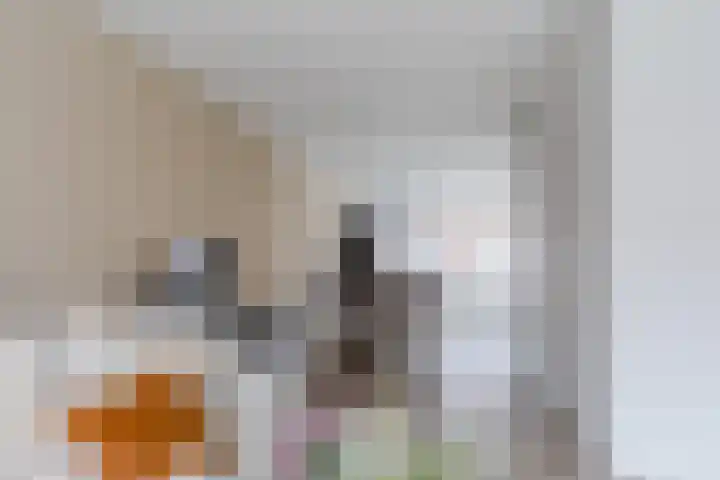 Raaigras 23 Assendelft thumbnail 14